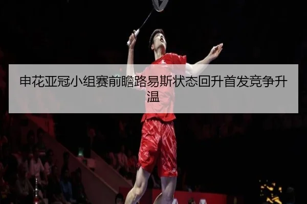 申花亚冠小组赛前瞻路易斯状态回升首发竞争升温